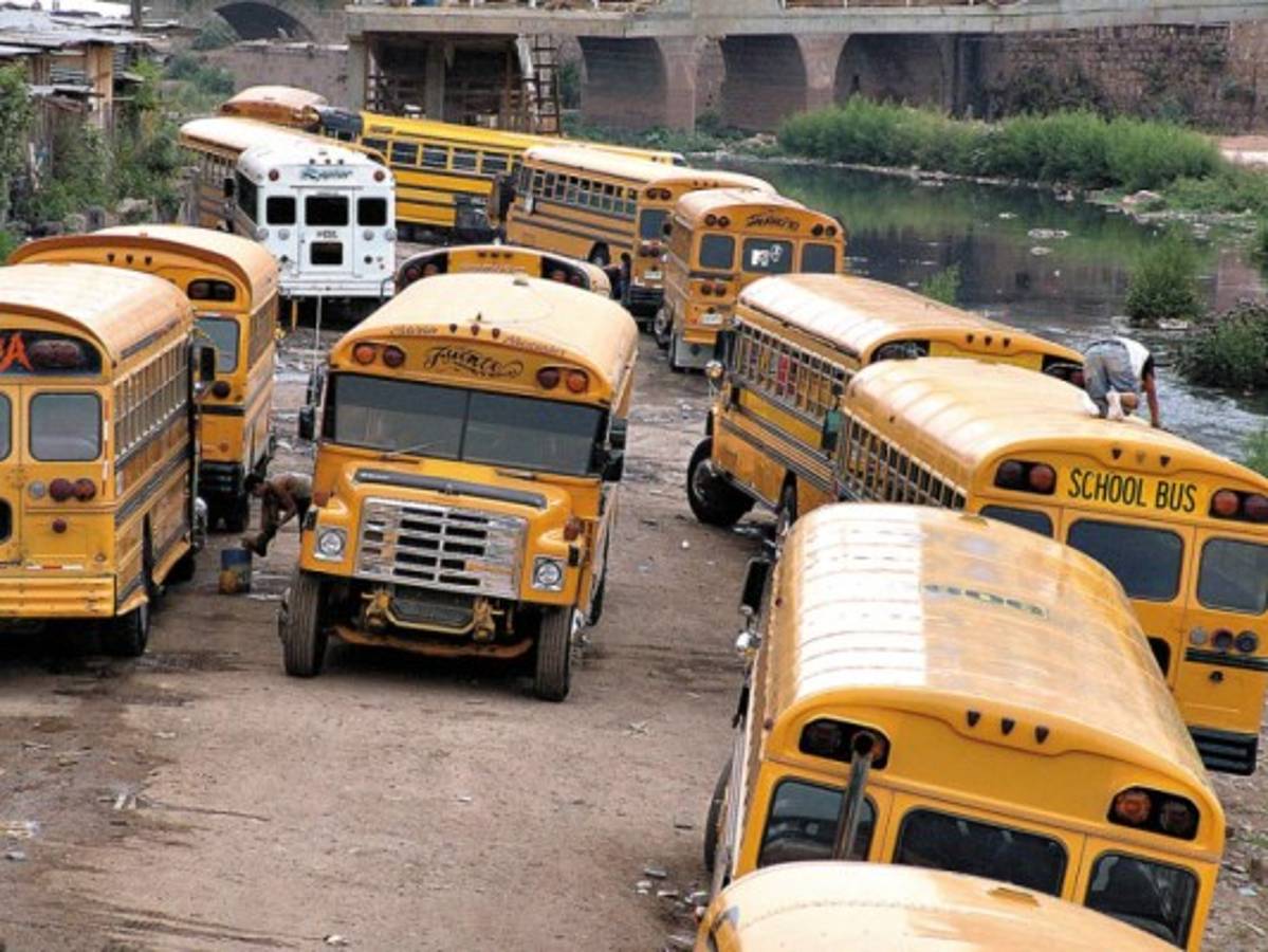 Sector Transporte piden cobro de tarifa real