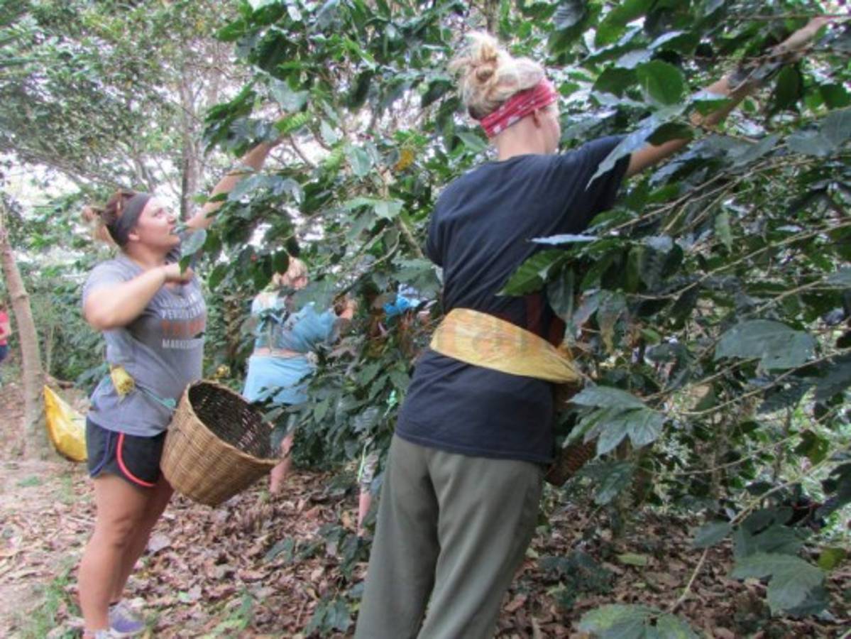 El Paraíso ofrece un abanico turístico para los veraneantes