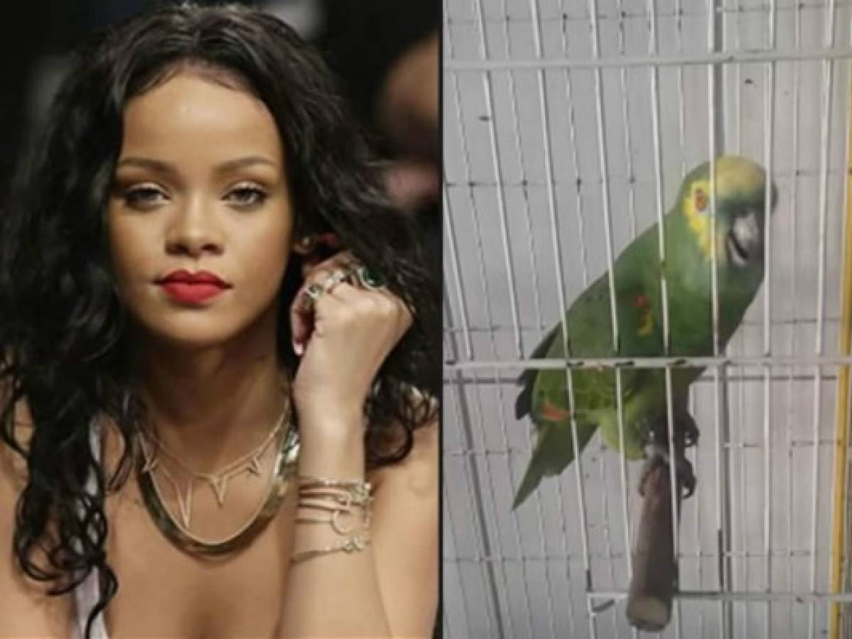 Viral: Un loro canta igual que Rihanna y arrasa las redes sociales