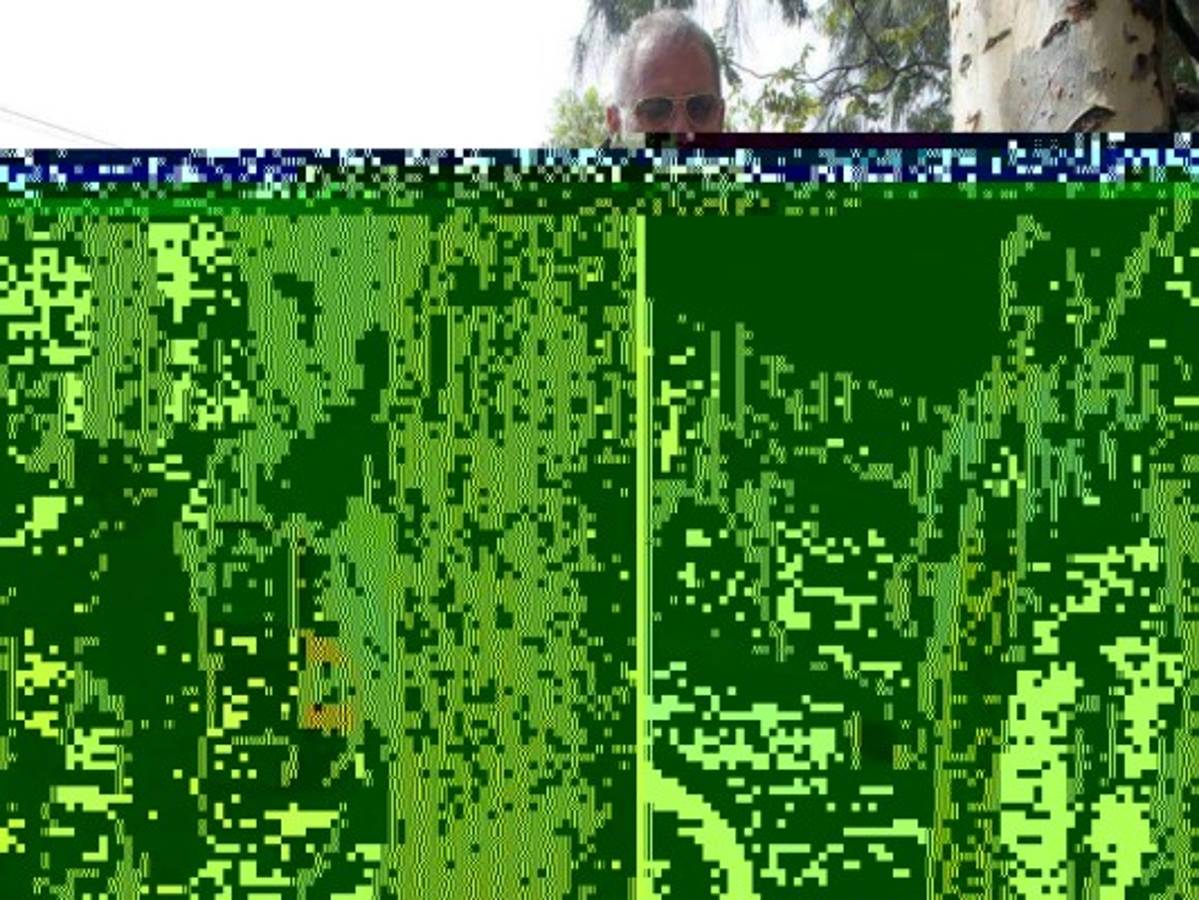 Benjamín Bográn se presentó el lunes voluntariamente a los juzgados capitalinos, luego de haber permanecido prófugo de la justicia, foto: El Heraldo.