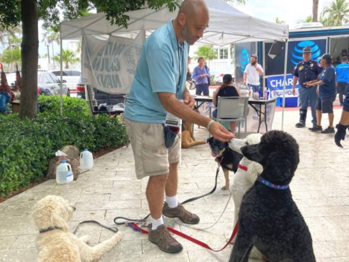 Perros de terapia brindan calma en medio del trauma del derrumbe de Miami  