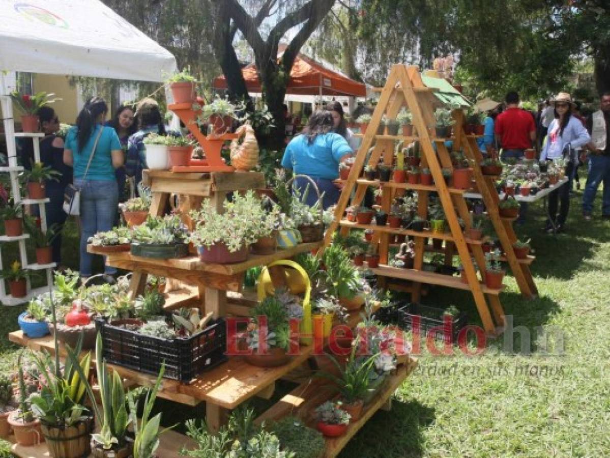 Siguatepeque conquista a turistas con colorido Festival de las Flores
