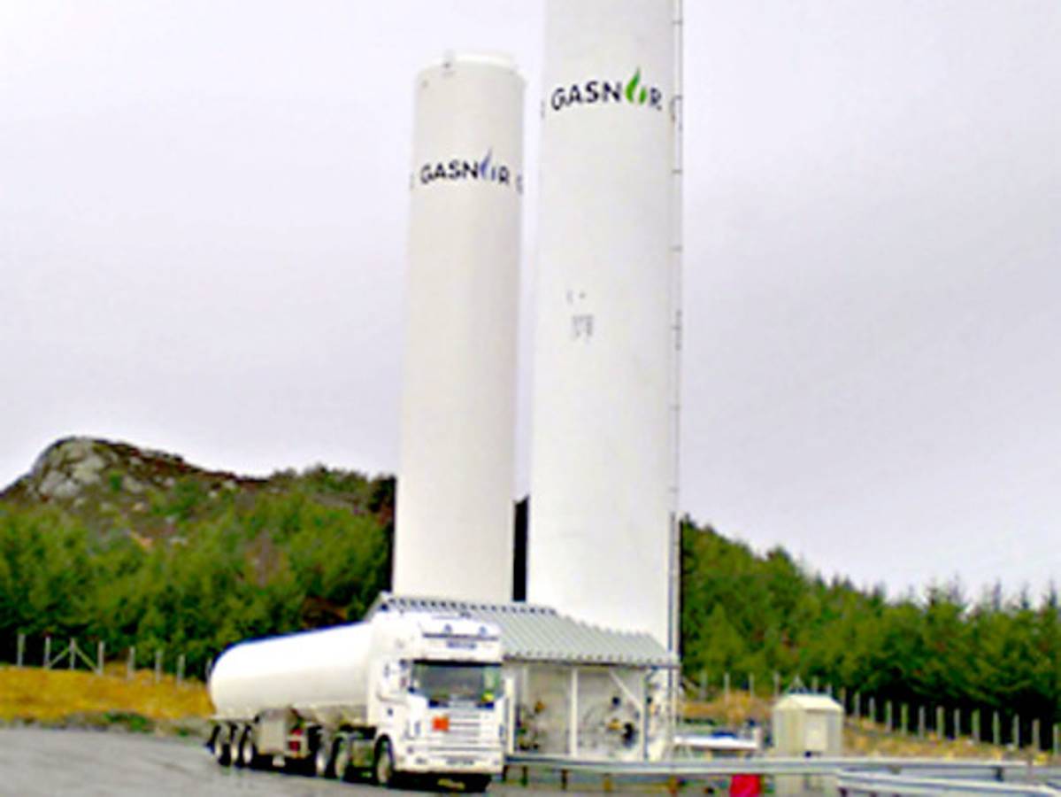 ENEE pondrá generación en manos extranjeras