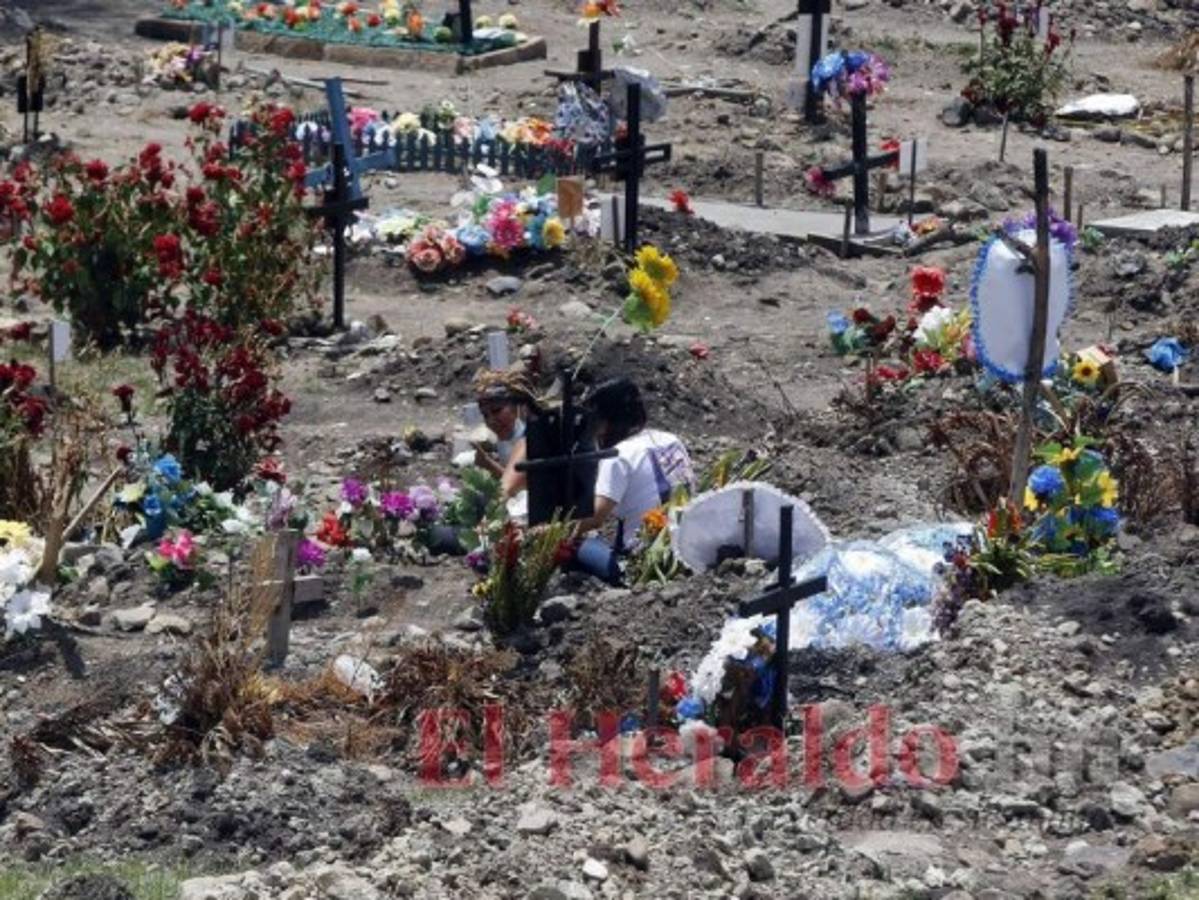 En el camposanto Jardín de los Ángeles han realizado más de 364 sepelios covid y cada mes habilitan más fosas. Foto: El Heraldo
