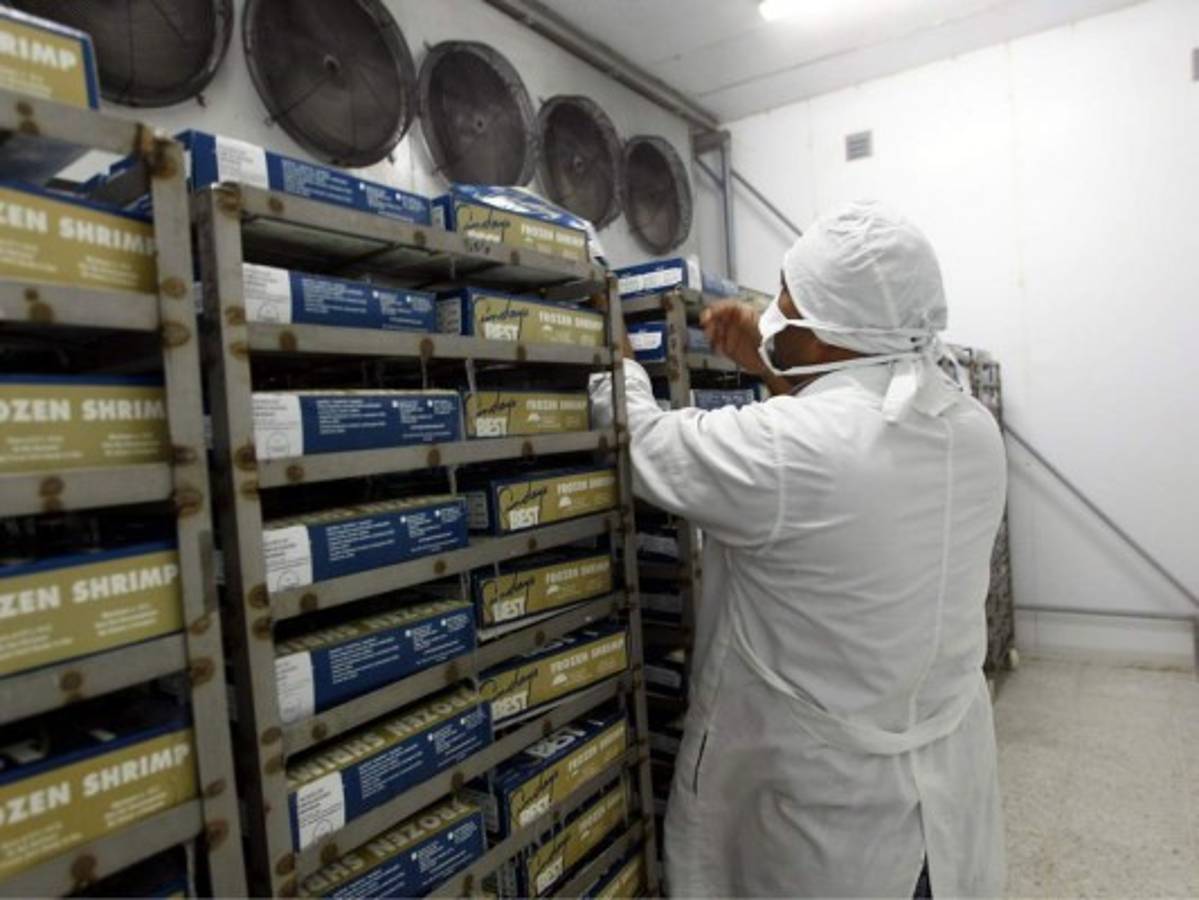 Camaroneros de Honduras pierden casi 420 millones de lempiras este año