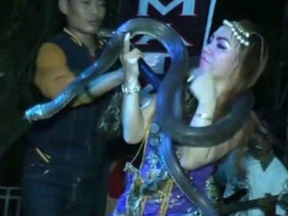 Una cantante muere tras ser mordida por una cobra durante un concierto
