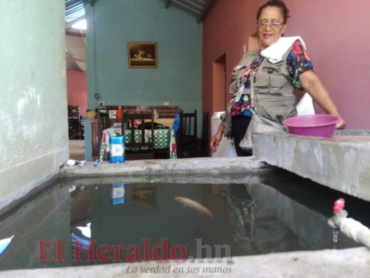 Con peces combaten el chikungunya, zika y dengue en Jacaleapa, El Paraíso