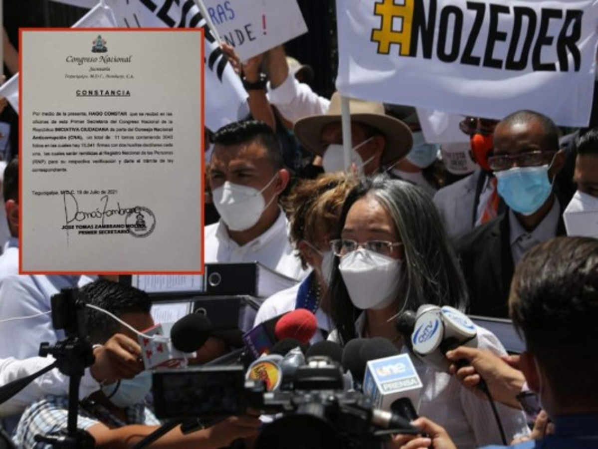 Consejo Nacional Anticorrupción presenta ante el Congreso Nacional iniciativa contra las ZEDE