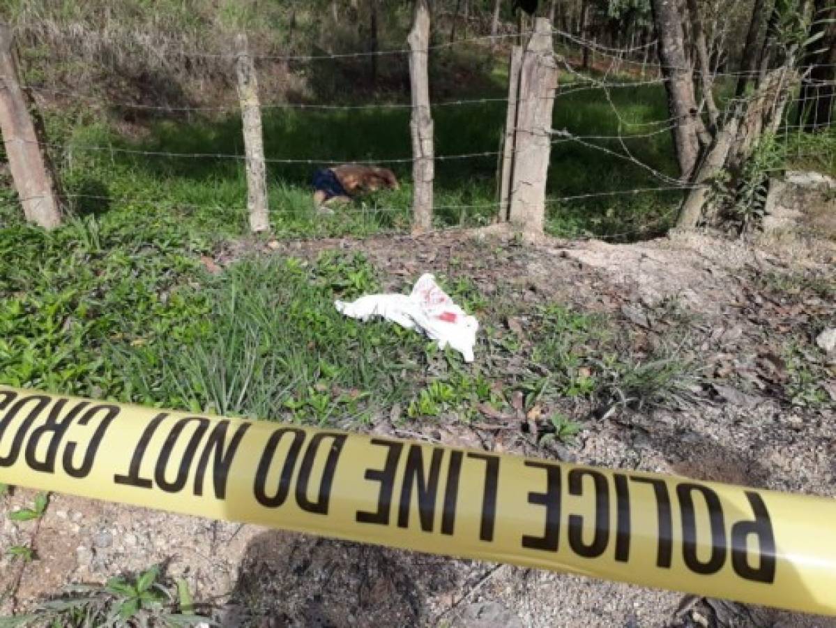 Raptan a joven de 22 años y lo matan cerca de El Hatillo en la capital de Honduras