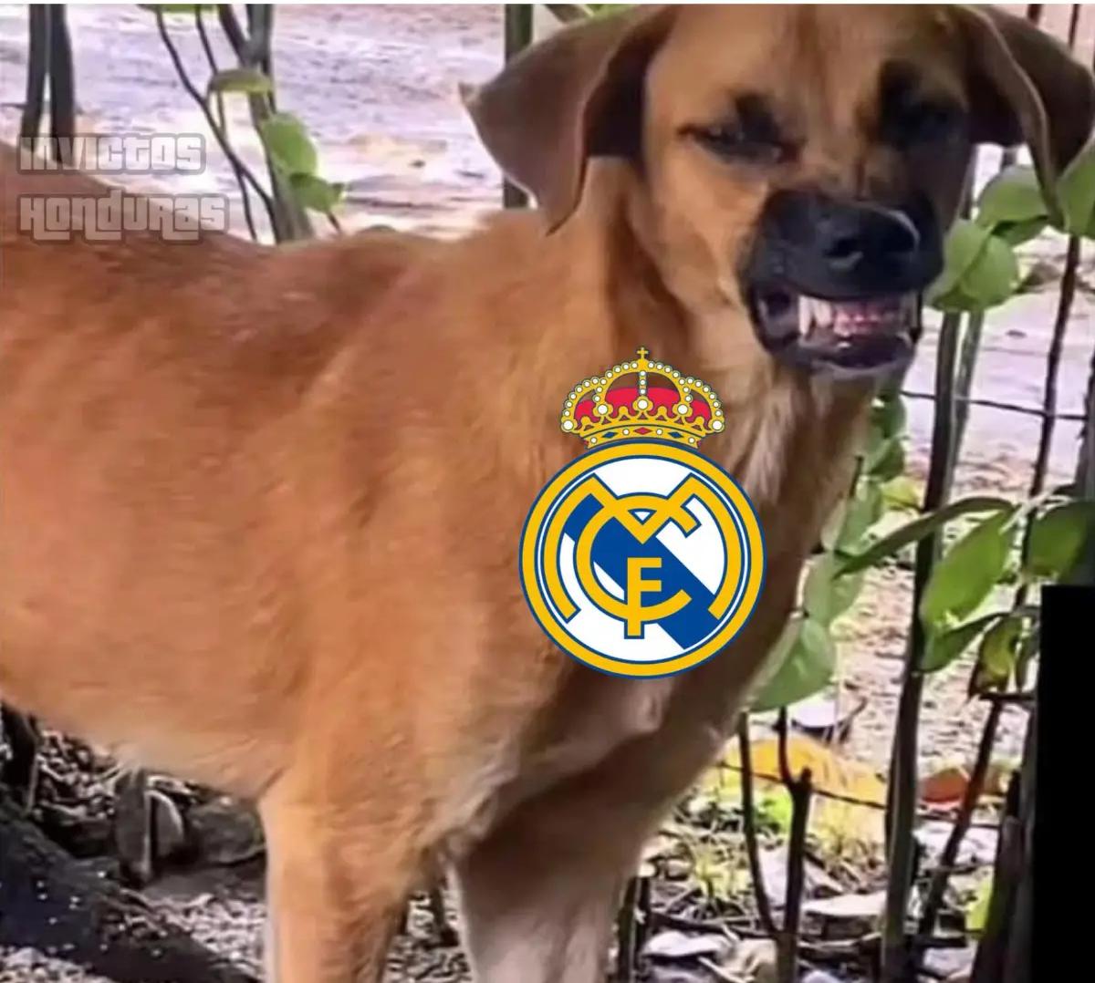Divertidos memes luego de la derrota del Real Madrid ante Osasuna; Barcelona disfruta