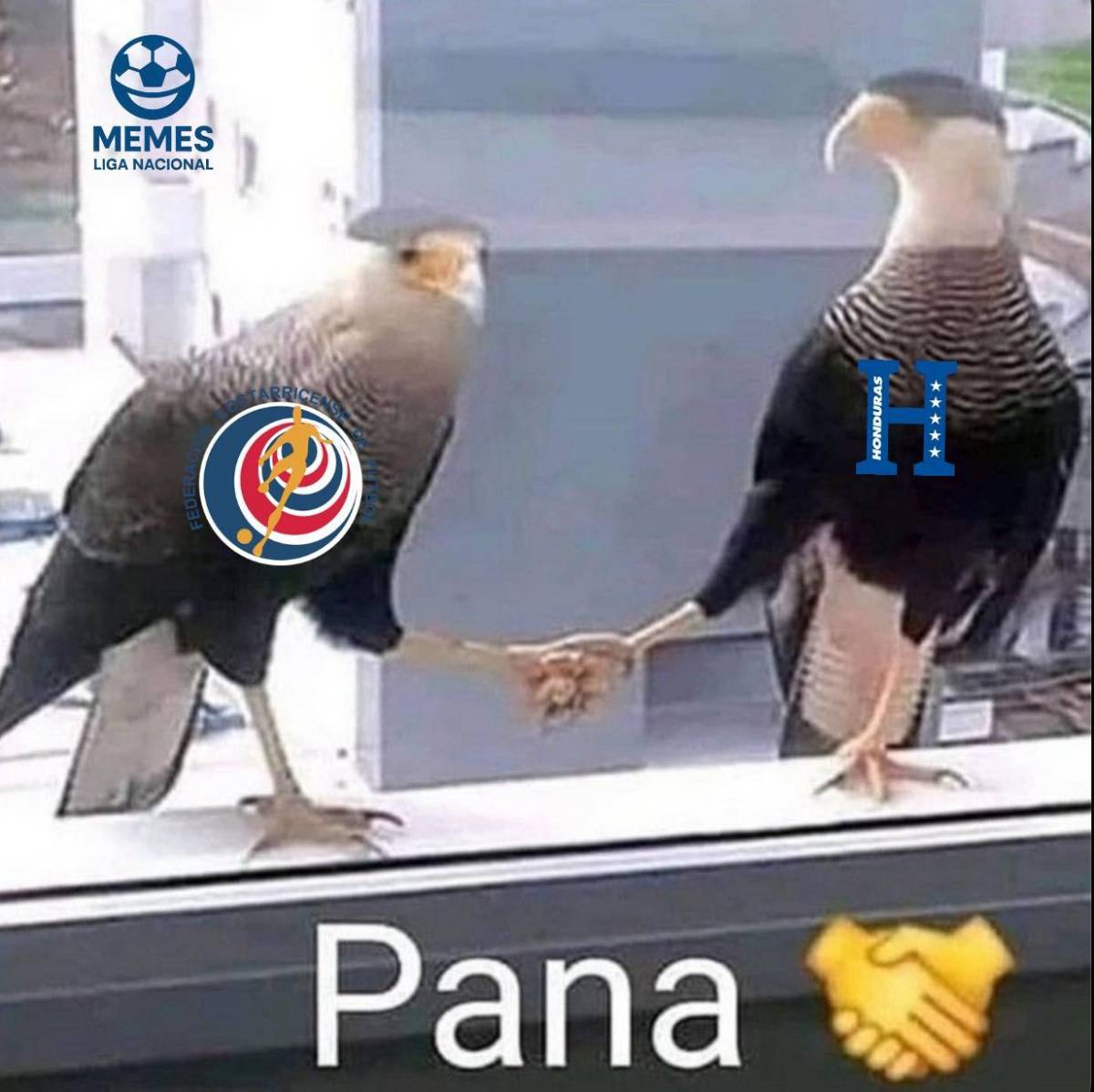 Para reír: Los memes que dejó la eliminación de Honduras y Costa Rica del Mundial 2026