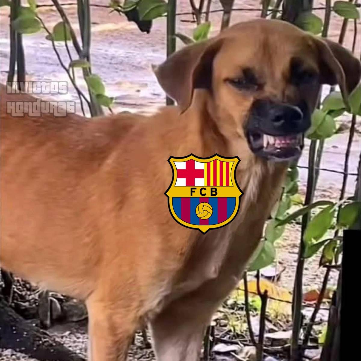 Para reír: Los memes que dejó la goleada del Chelsea al Barcelona en Champions League