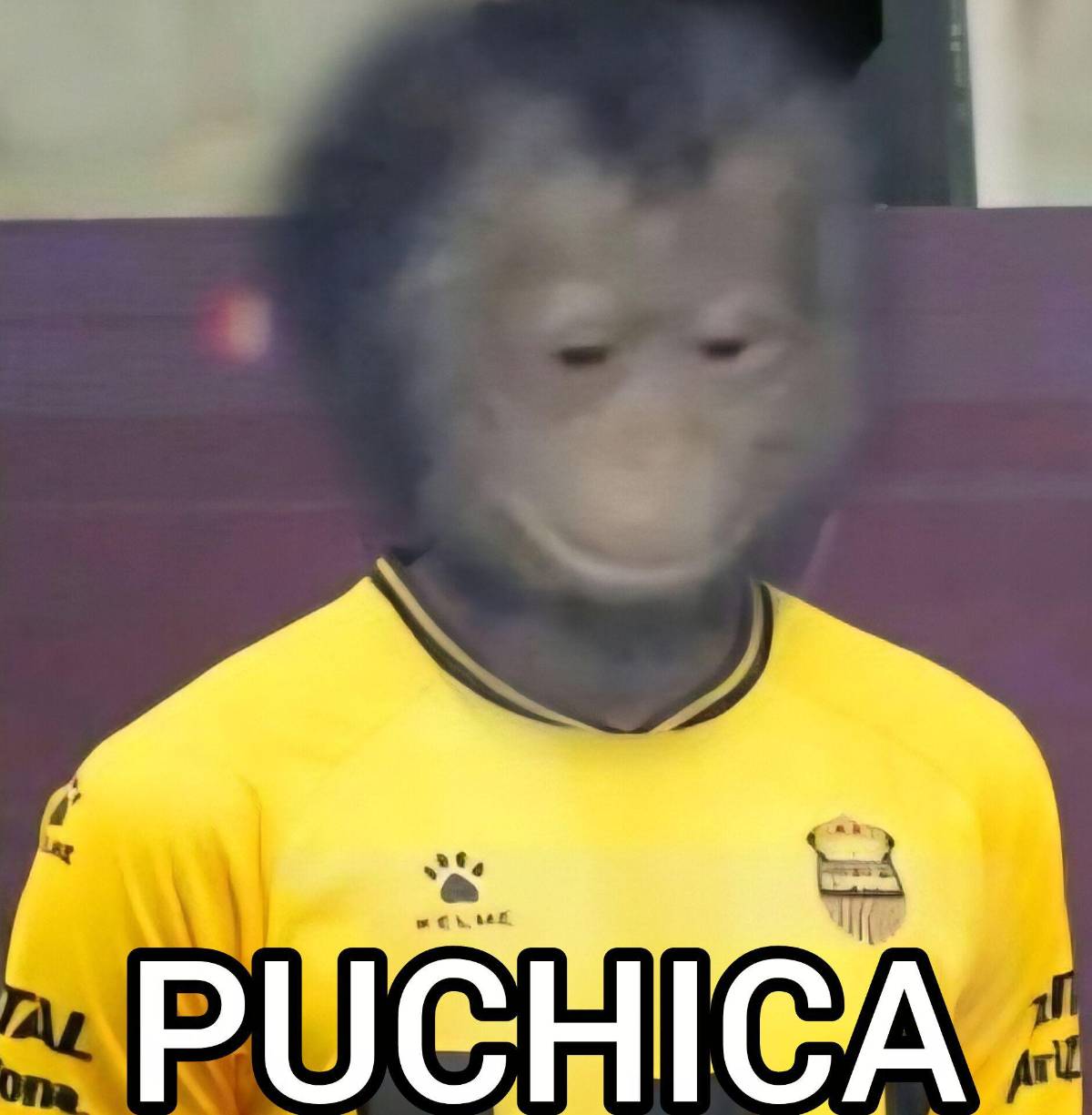 ¡Para reír! Los memes que dejó la goleada de Los Ángeles FC a Real España en la Concacaf Champions Cup