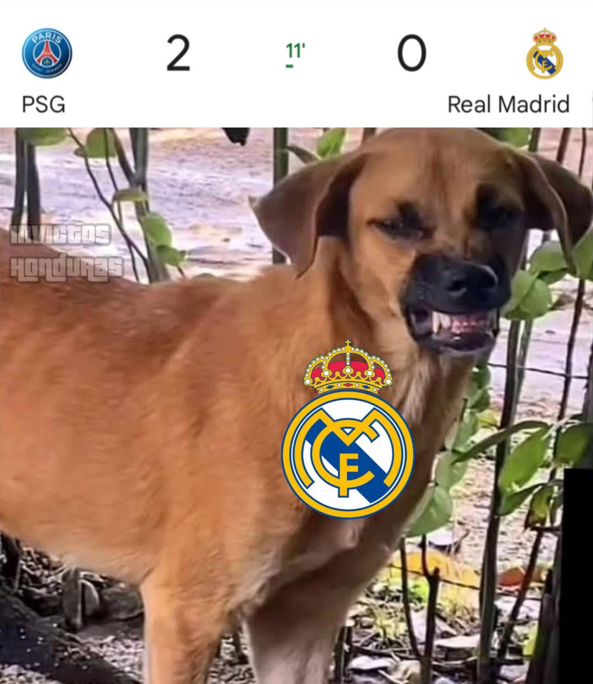 Divertidos memes despedazan a Real Madrid tras ser eliminado por PSG en el Mundial de Clubes