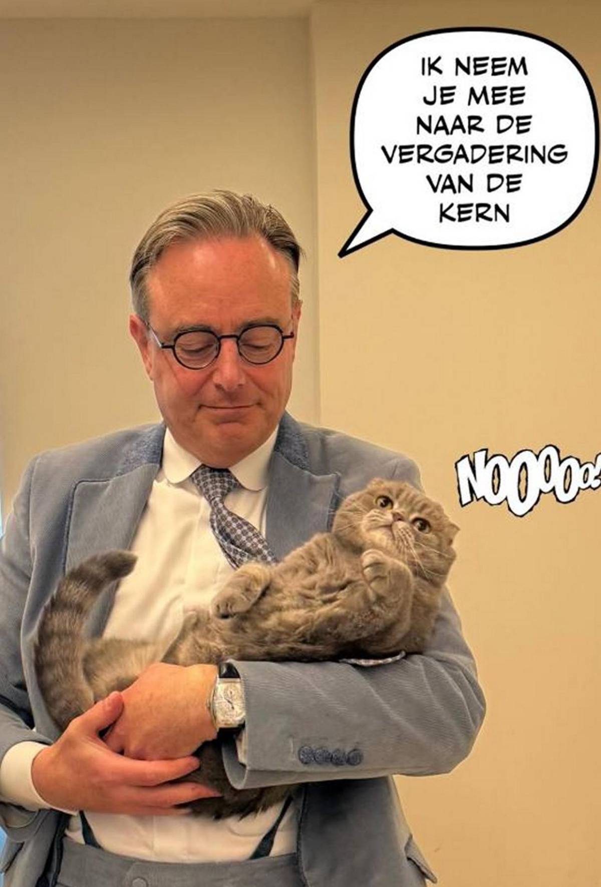 Maximus, el gato viral del primer ministro belga que acierta resultados del Mundial 2026