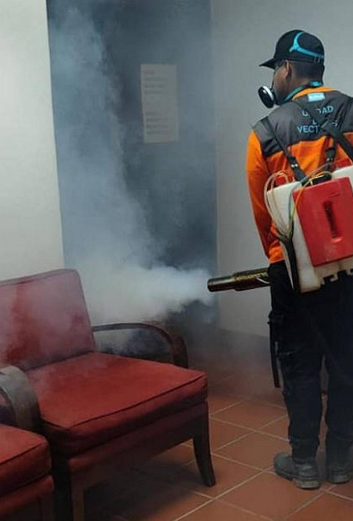 Fumigan la Basílica de Suyapa y alrededores previo a la Alborada