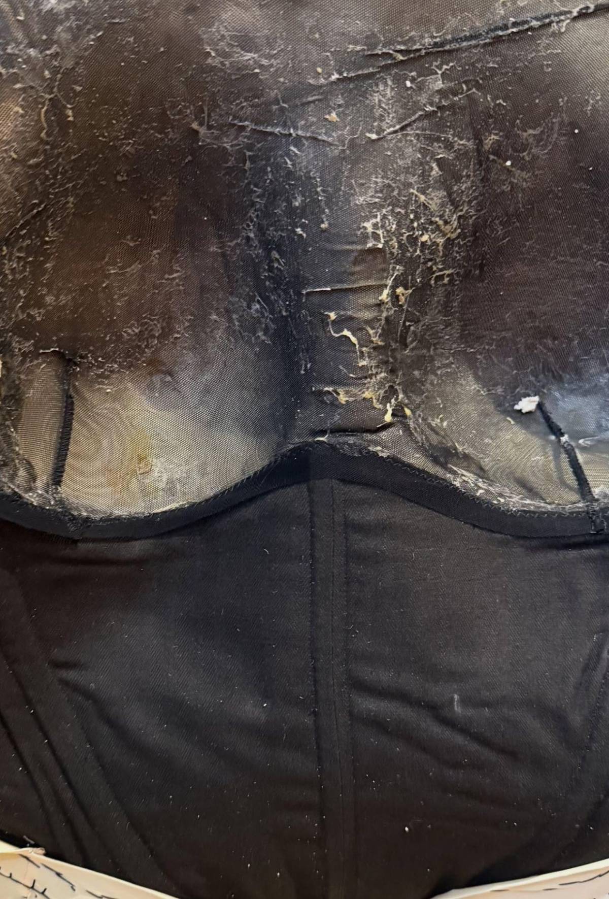 Heidi Klum, la reina de Halloween: su transformación en Medusa que dejó a todos petrificados