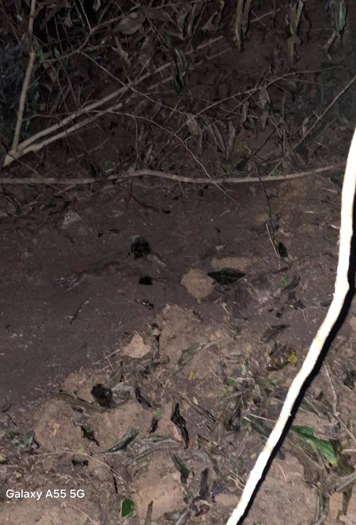 Así fue ubicada la escena donde asesinaron a la maestra Aleyda Santos en Gualaco