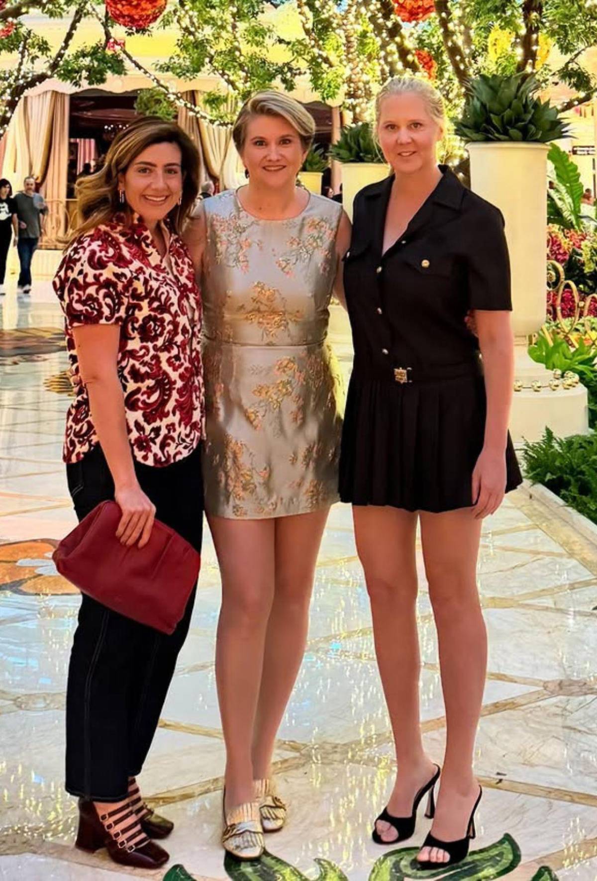 Así luce Amy Schumer tras su notable cambio de peso: las reacciones en redes