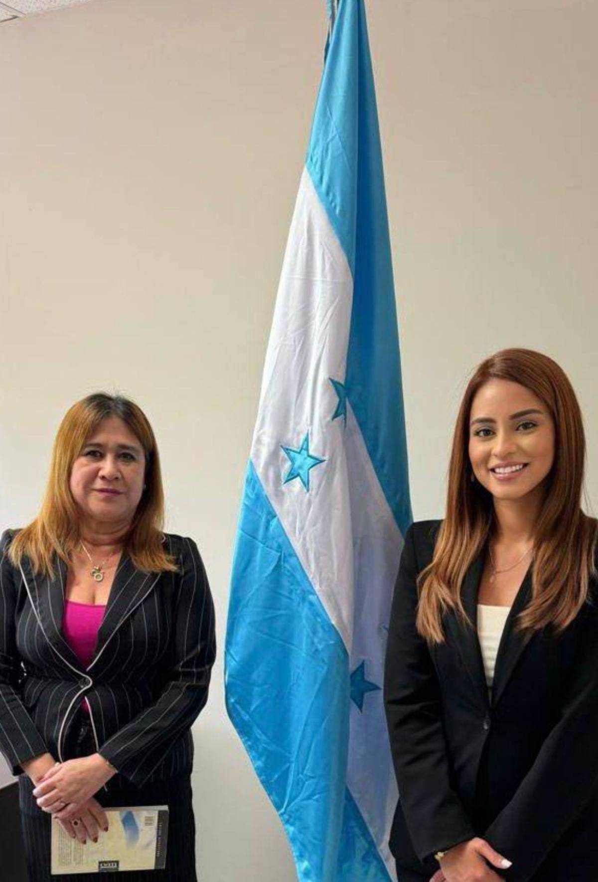 “La jueza de acero”: quién es la nueva encargada del Circuito de Criminalidad Organizada en la zona norte