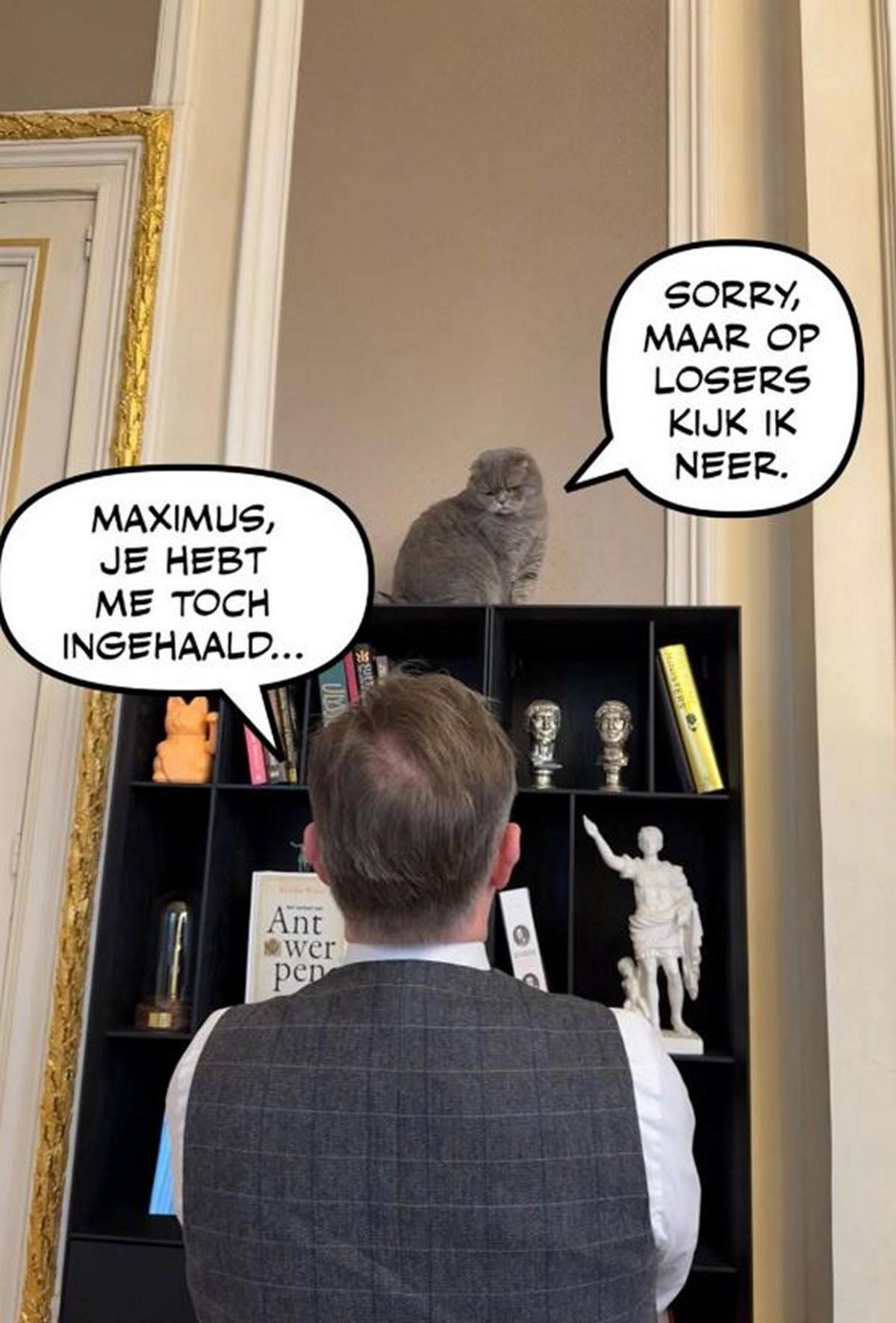 Maximus, el gato viral del primer ministro belga que acierta resultados del Mundial 2026