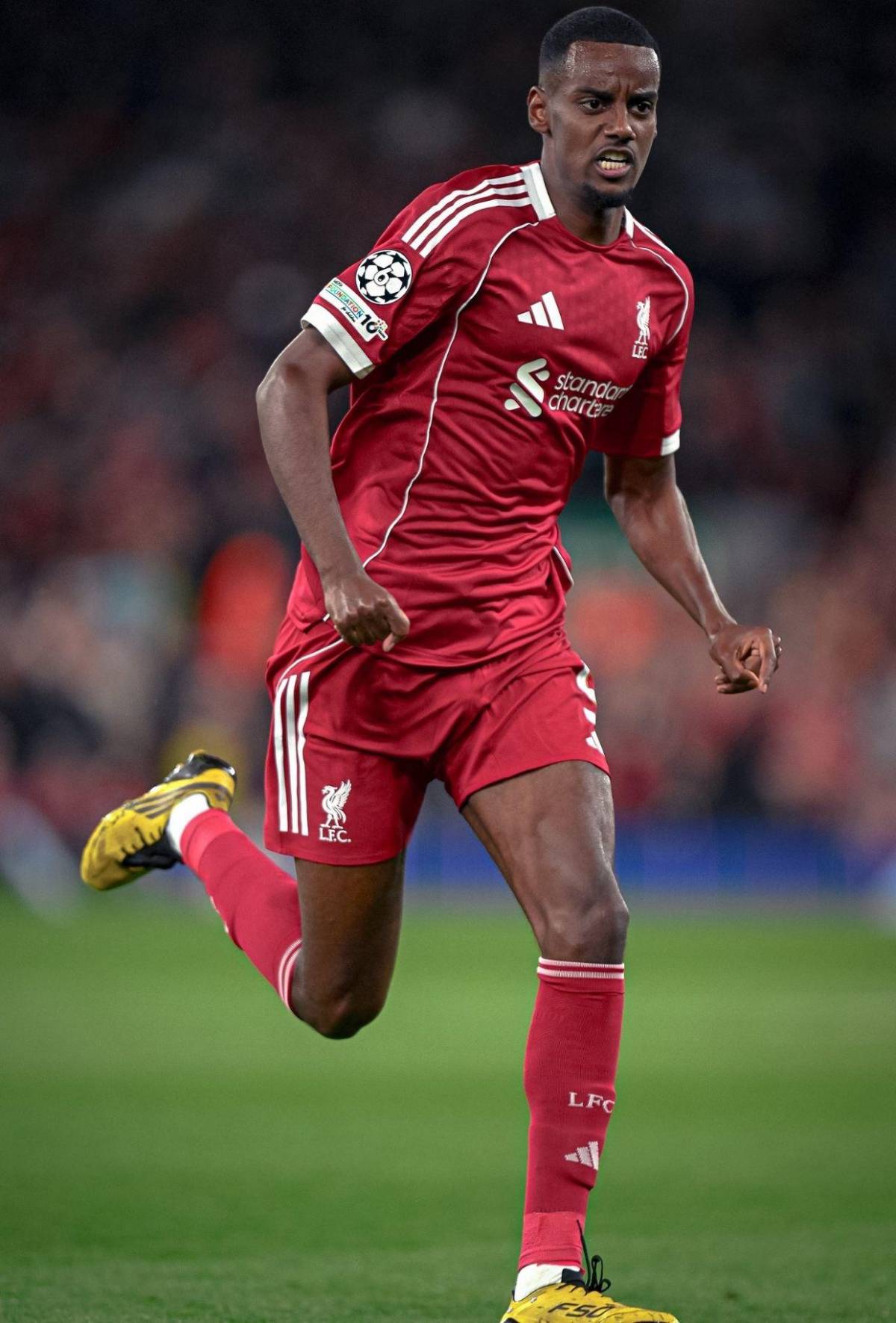 Lamentable: rompió el mercado en verano y ahora recibe amenazas de muerte