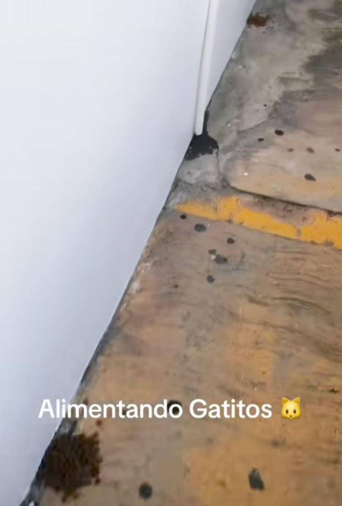 Los dos proyectos que hará la familia de Mayra Tercero para honrar su memoria