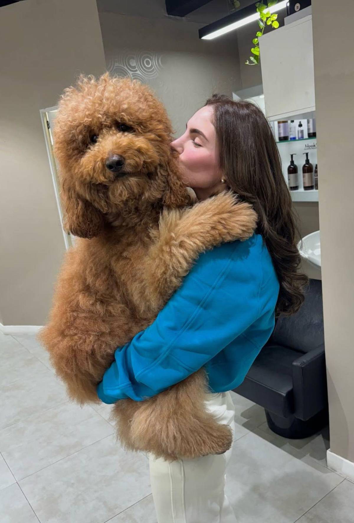 Entre la equitación y los números: Conozca a Stephany Abasali, Miss Venezuela