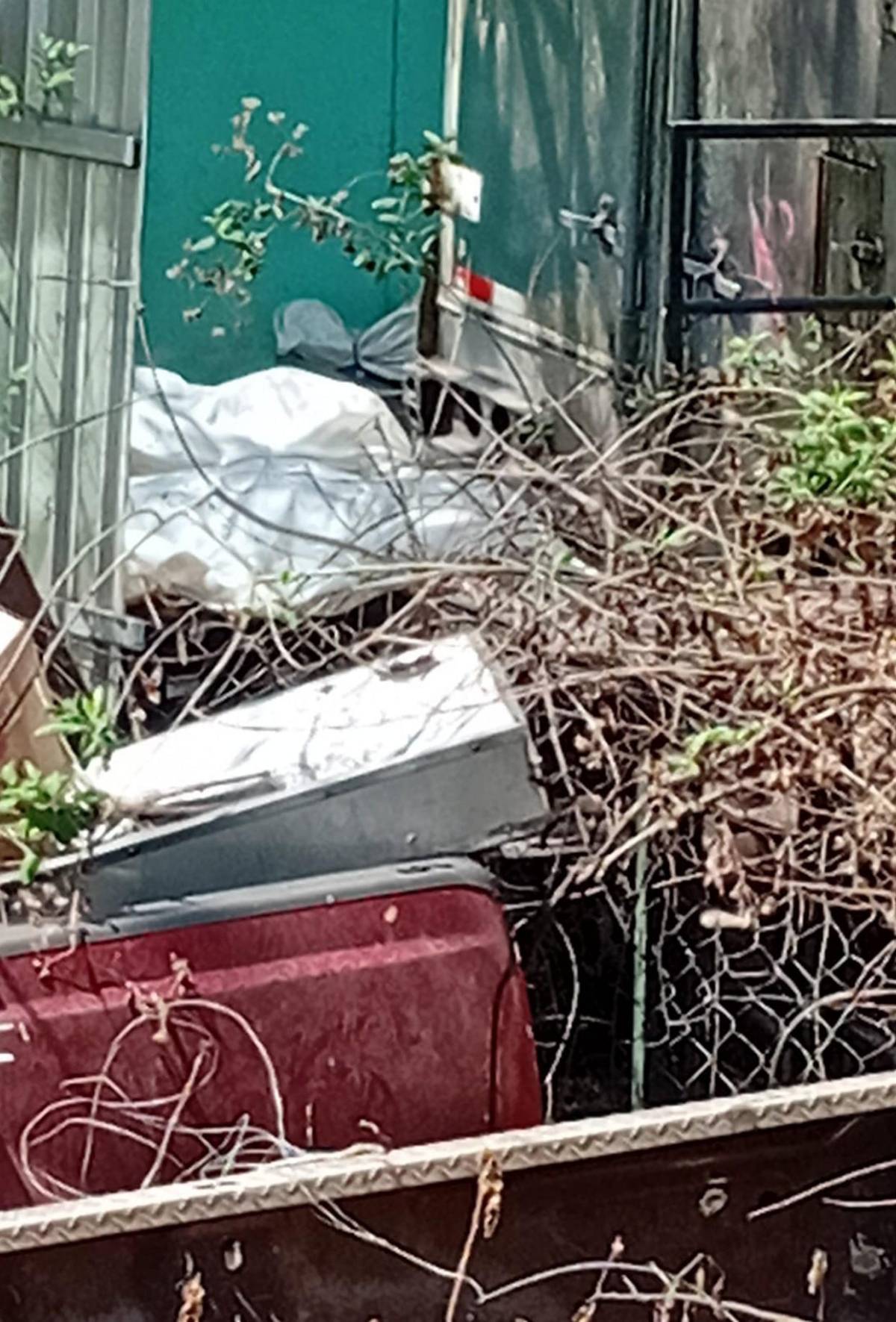 Olores fétidos y aves de rapiña: vecinos denuncian insalubridad en contenedores de morgue capitalina