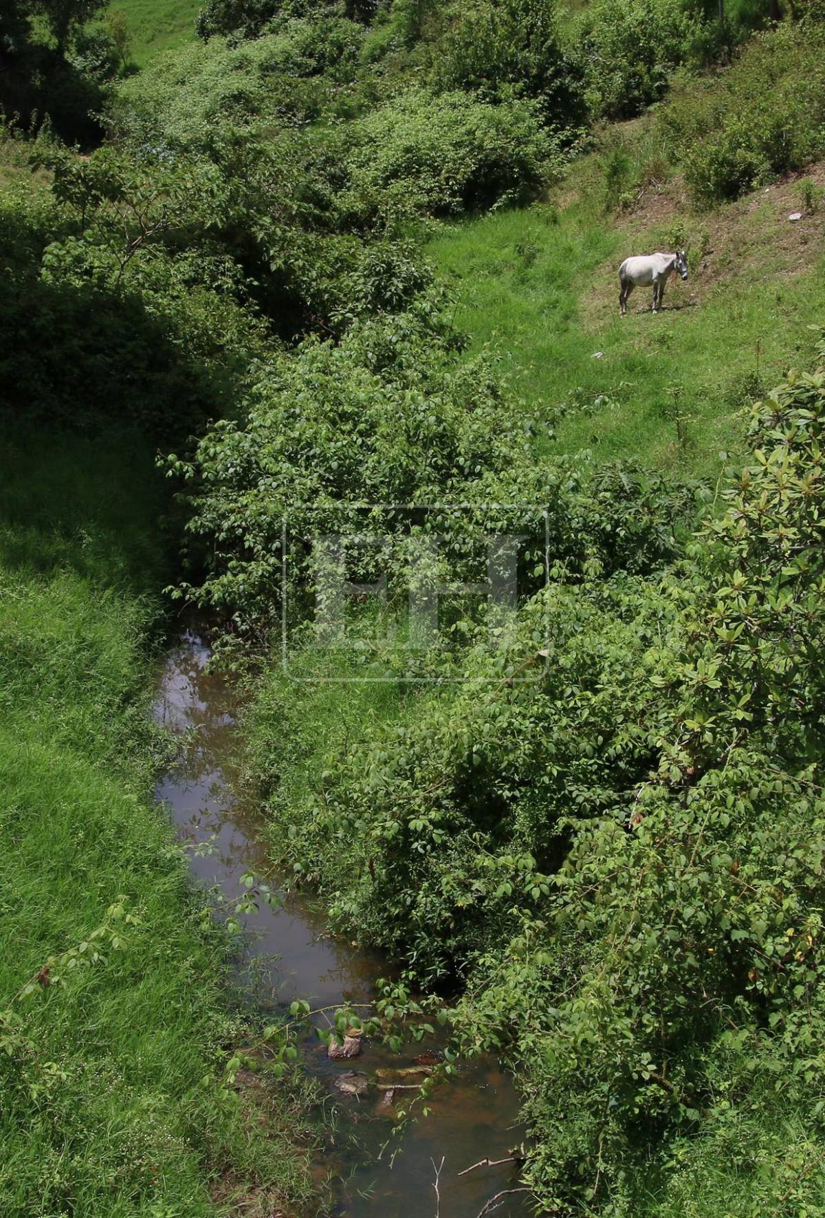 Ausencia total del río es lo que hay en montañas que abastecen de agua a la capital
