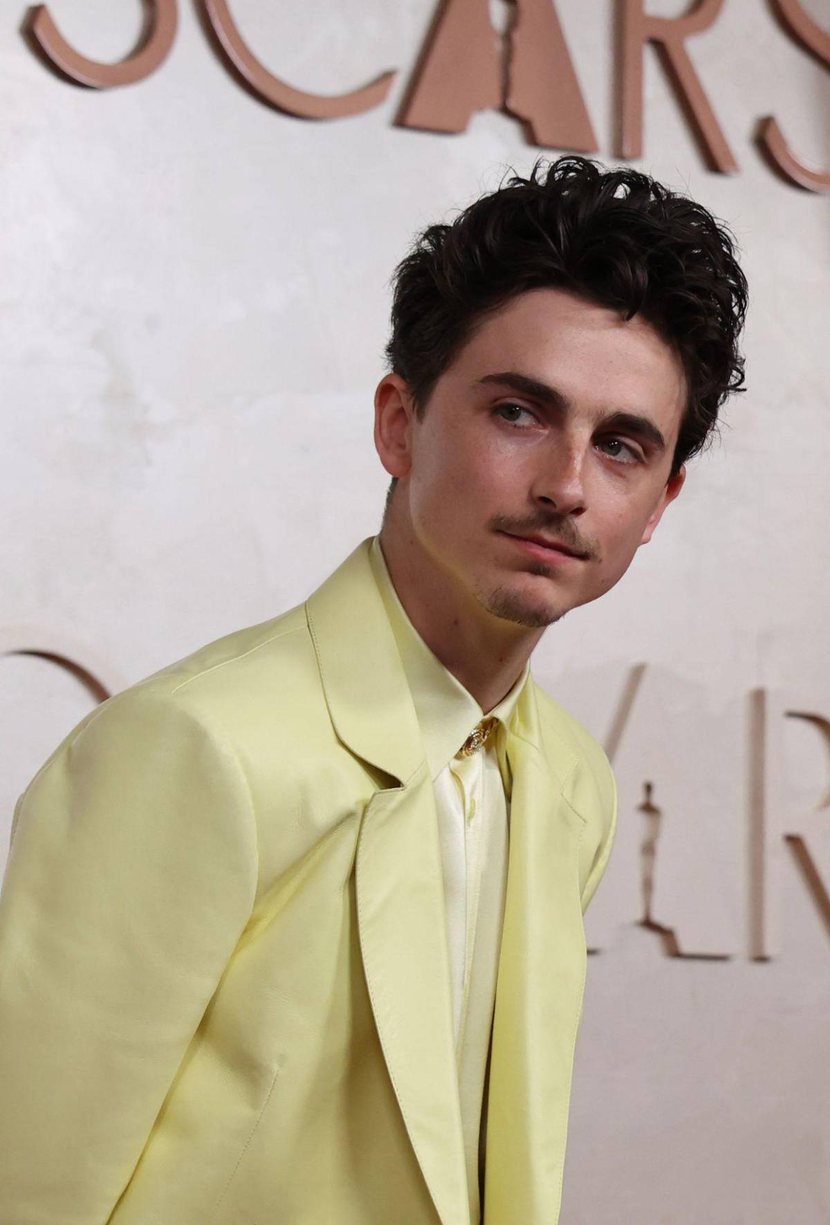 Oscar 2025: Así lucieron los nominados más esperados en la alfombra roja