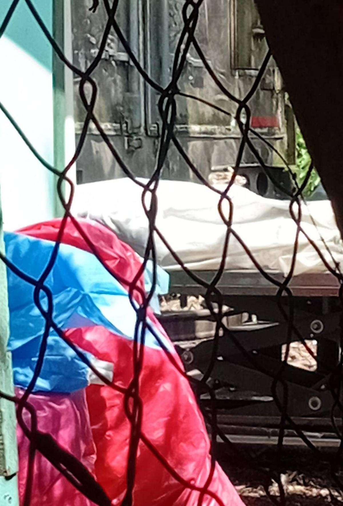 Olores fétidos y aves de rapiña: vecinos denuncian insalubridad en contenedores de morgue capitalina