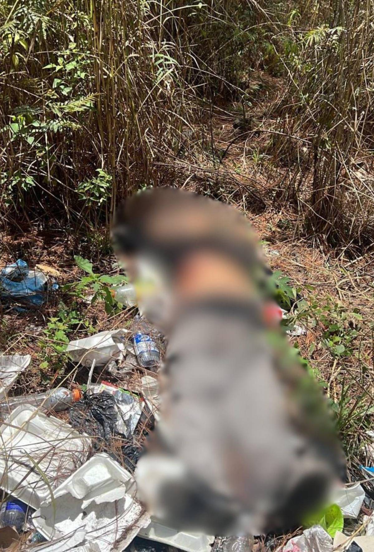 Por robarle su moto lo mataron: crimen de Elder Domínguez en Siguatepeque