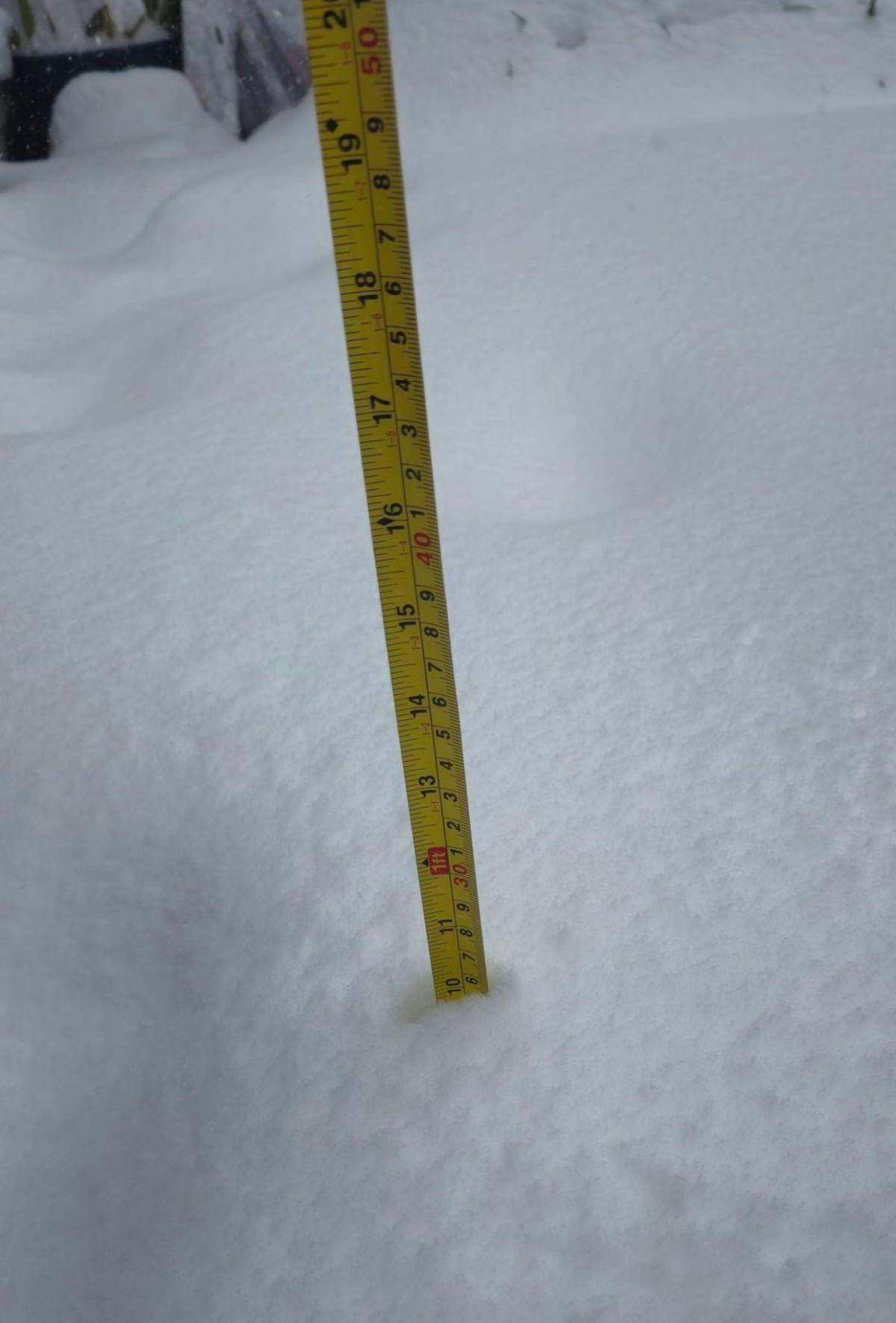 Nueva Orleans recibe una nevada histórica después de 16 años