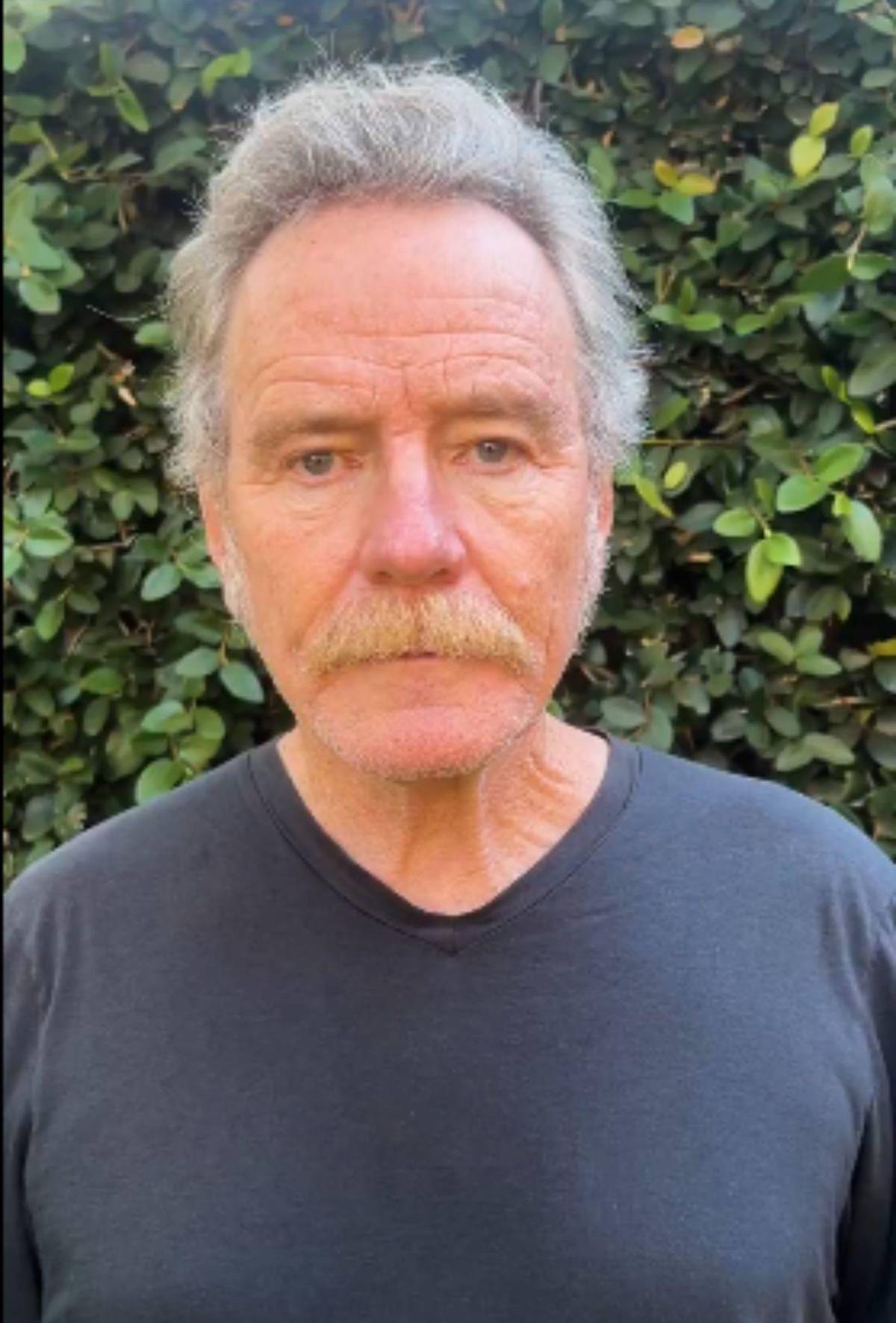 Regreso de “Malcolm in the Middle”: ¿Cuántos episodios nuevos trae y dónde verlos?