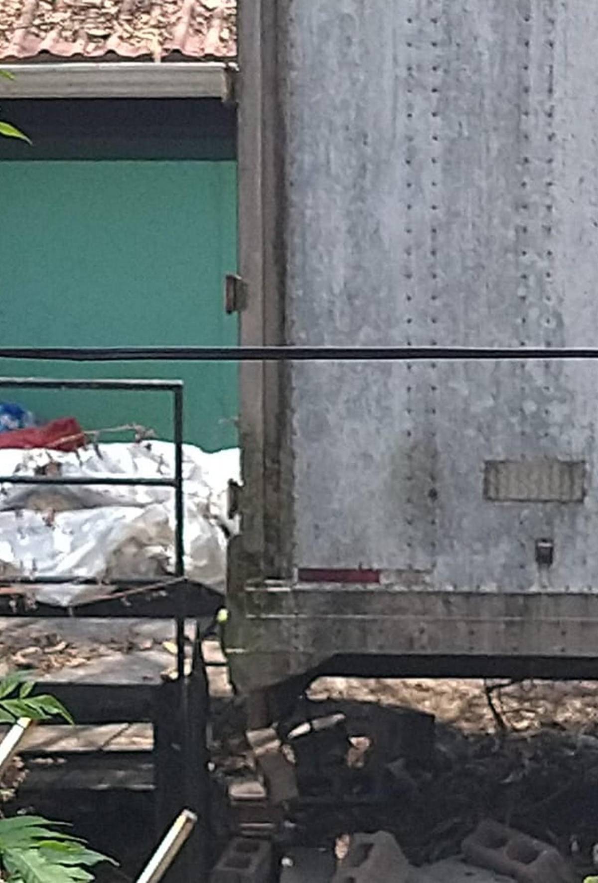 Olores fétidos y aves de rapiña: vecinos denuncian insalubridad en contenedores de morgue capitalina