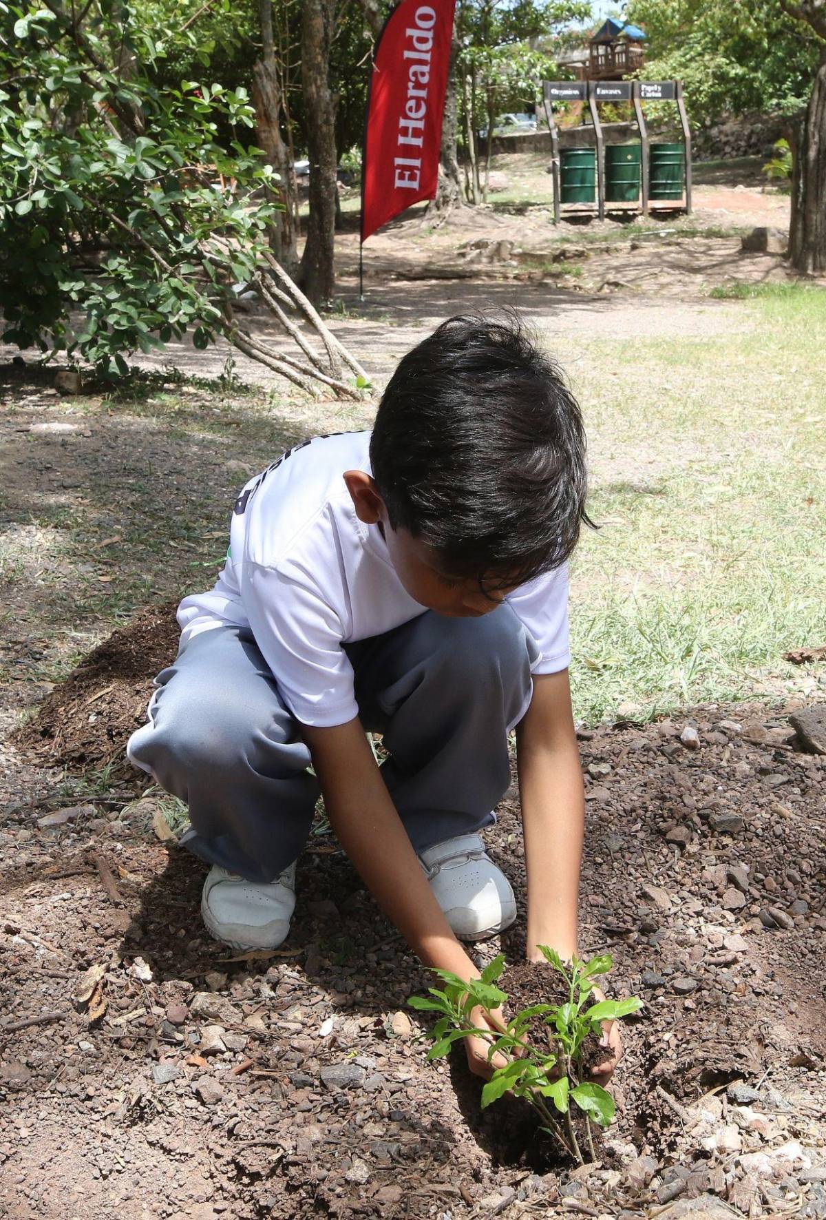 Amor por la naturaleza: Líderes ecológicos reforestaron el parque Juana Laínez