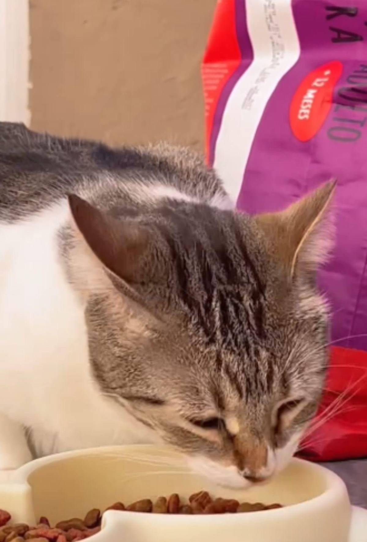 Los dos proyectos que hará la familia de Mayra Tercero para honrar su memoria