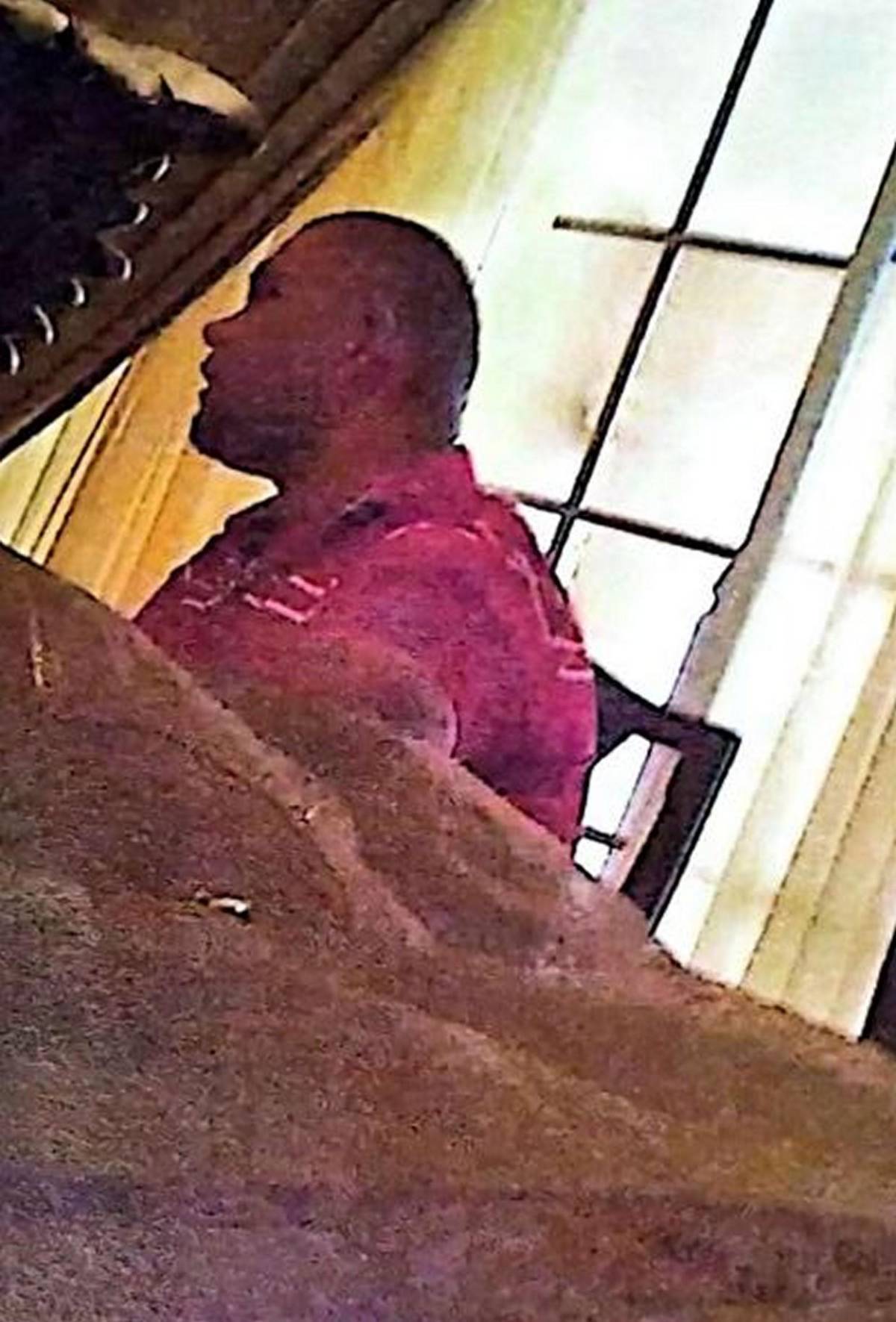 ¿Quiénes son los personajes que aparecen en supuestos narcovideos de Romeo Vásquez?