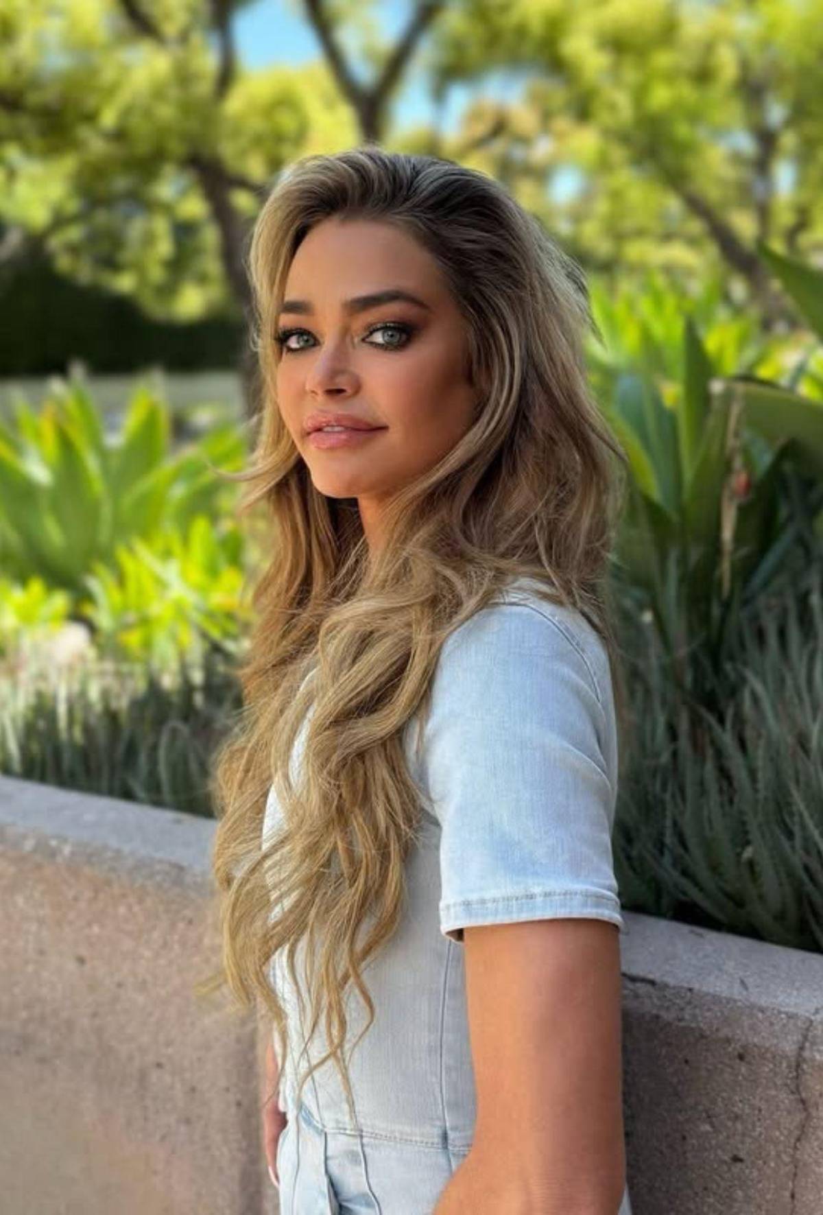 Denise Richards exige pensión conyugal y Aaron Phypers asegura no tener ingresos