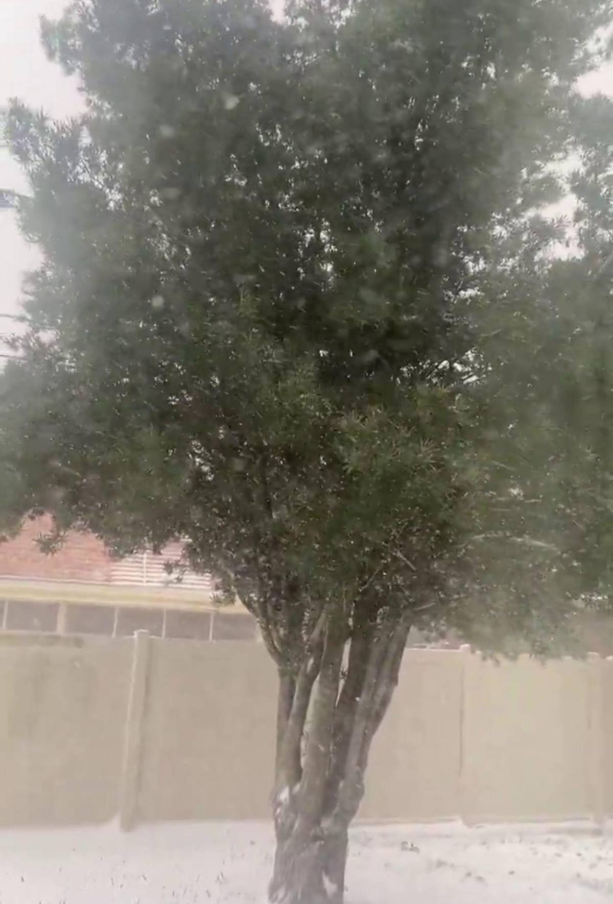 Nueva Orleans recibe una nevada histórica después de 16 años