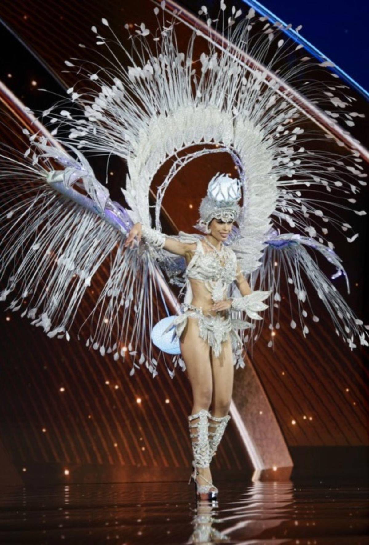 Los mejores trajes típicos del Miss Universo... ¿Cuál fue su favorito?