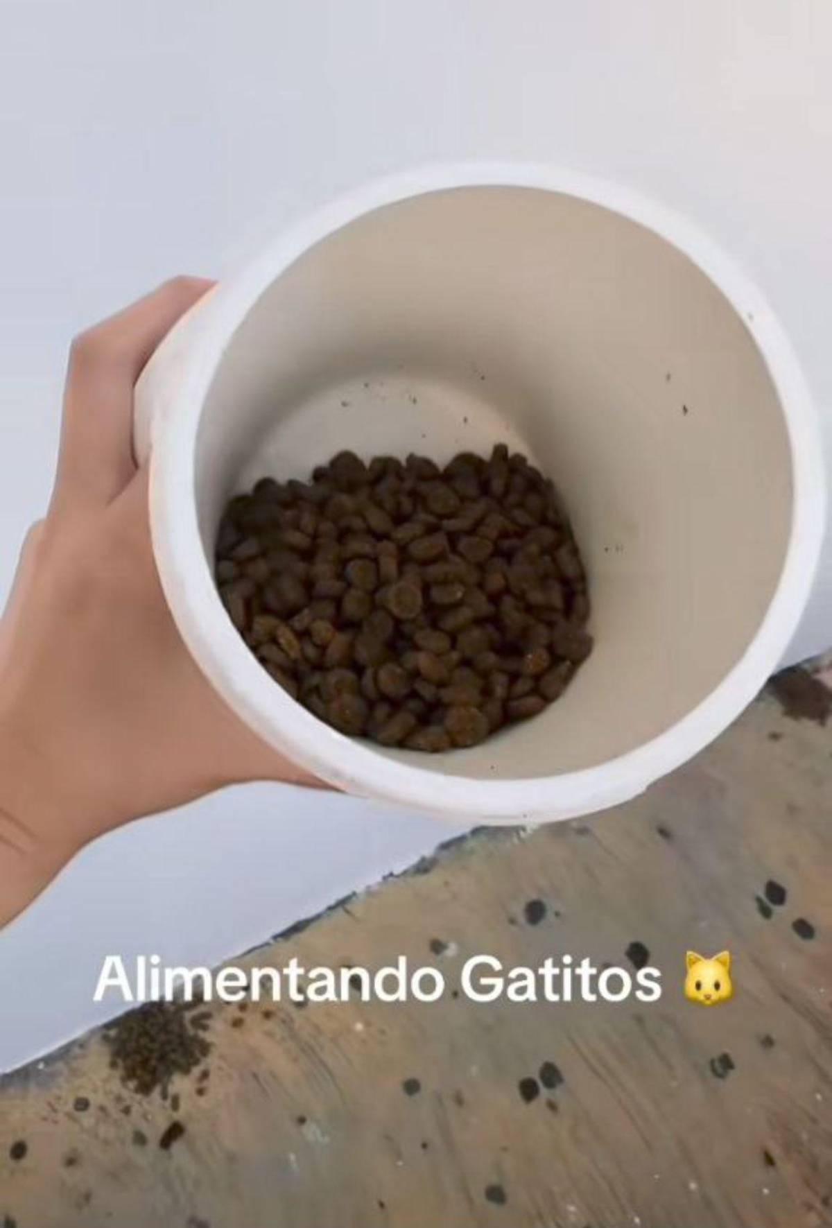 Los dos proyectos que hará la familia de Mayra Tercero para honrar su memoria