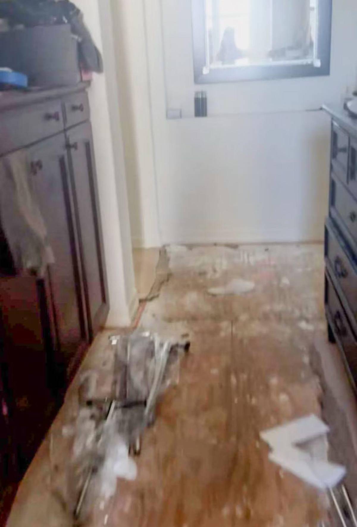 Denise Richards señala a Aaron Phypers por destruir su casa en pleno divorcio