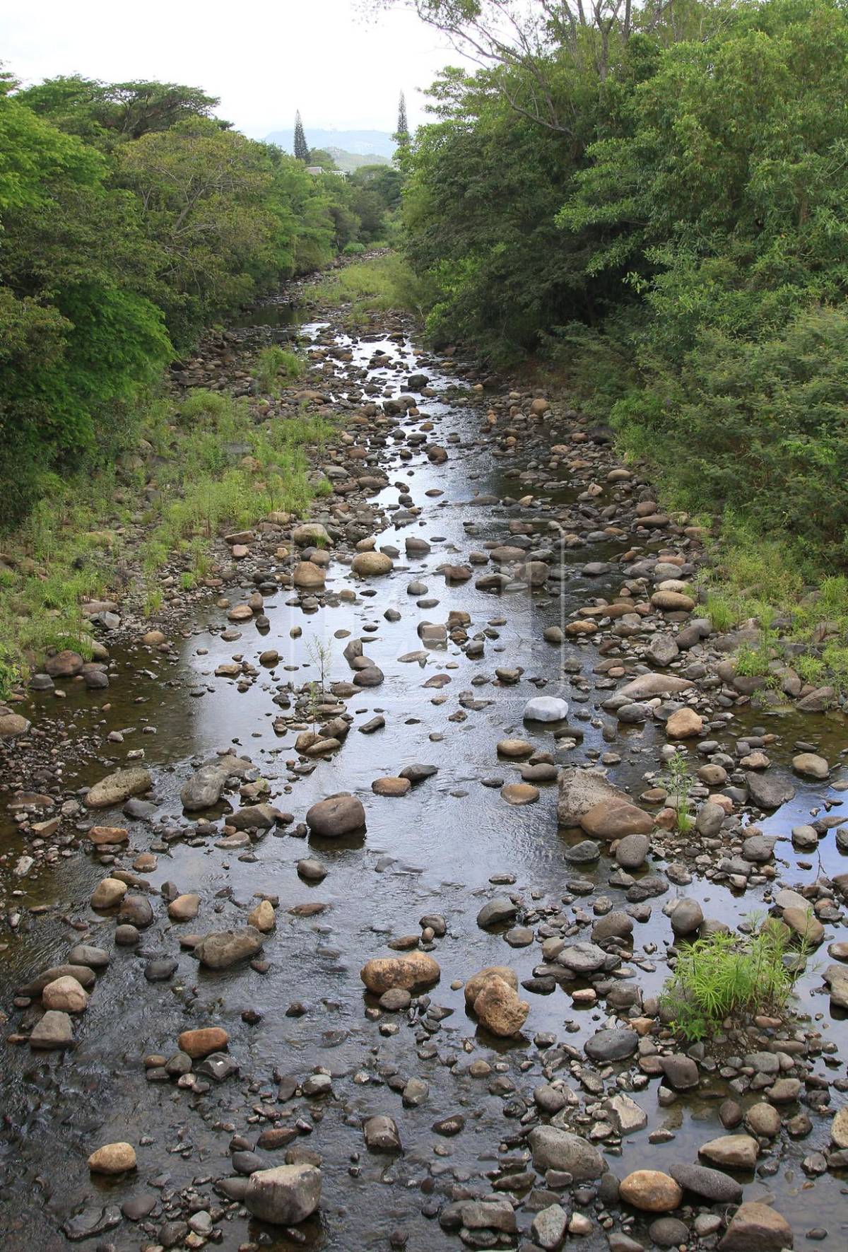 Ausencia total del río es lo que hay en montañas que abastecen de agua a la capital