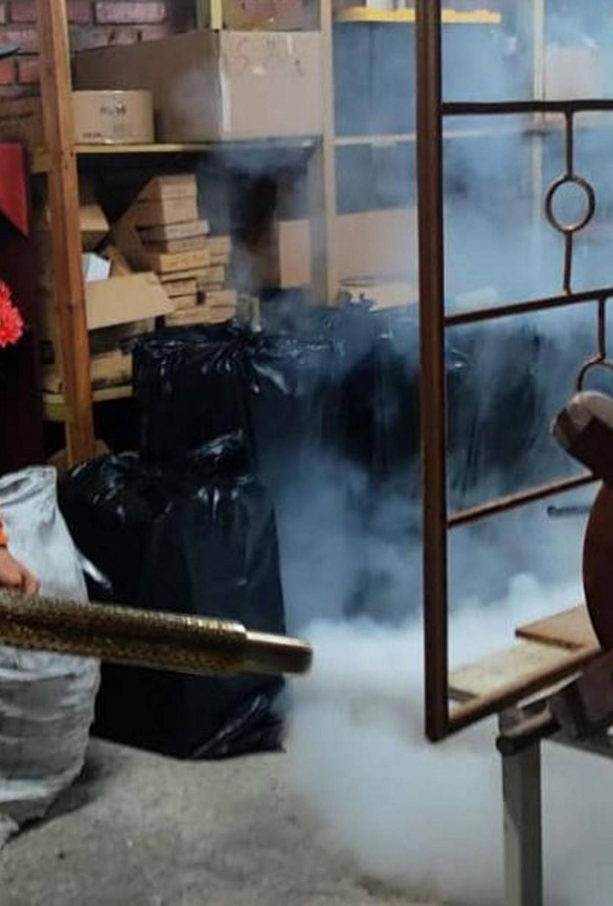 Fumigan la Basílica de Suyapa y alrededores previo a la Alborada