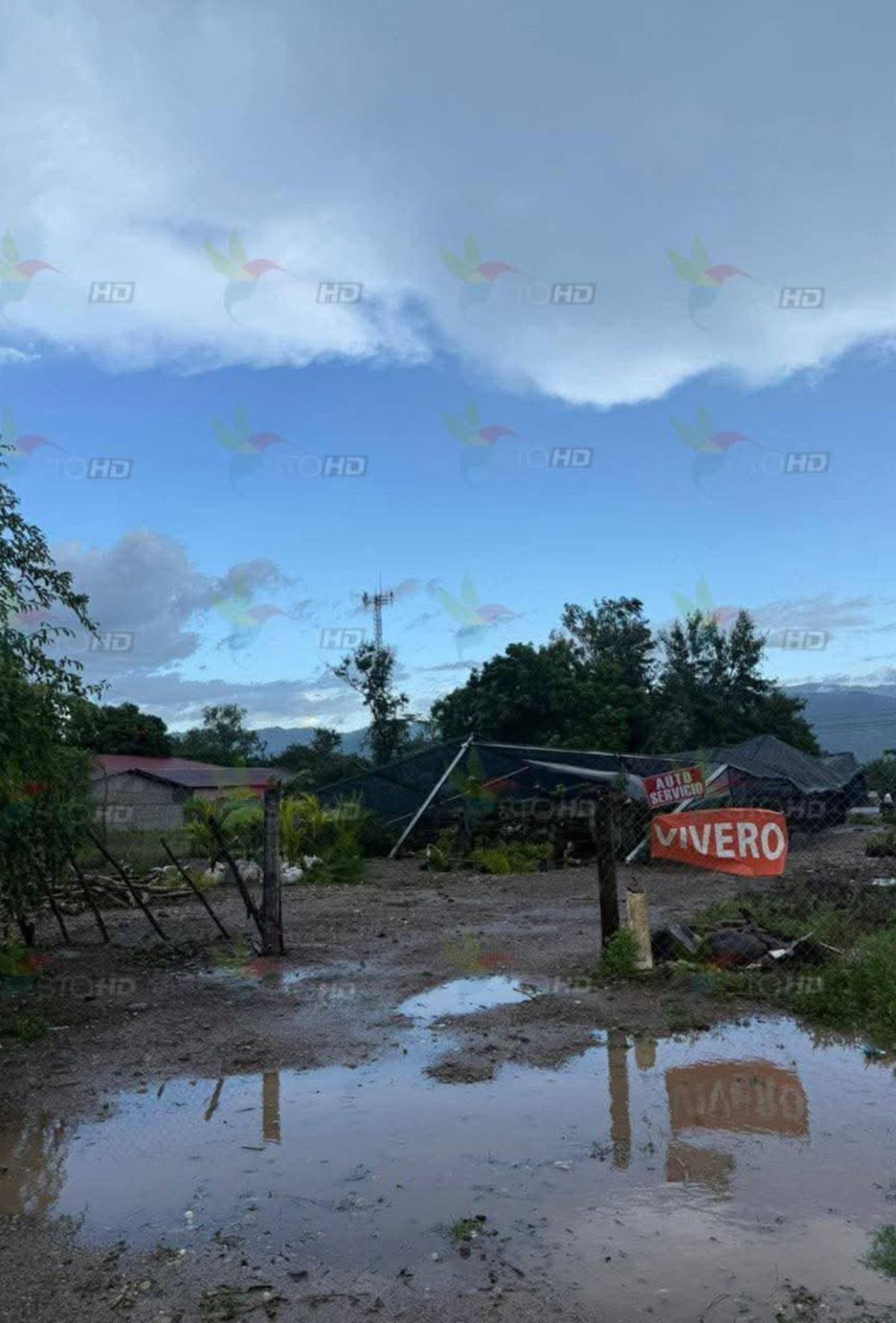 ¿Por qué se desplomó el polideportivo construido en Olanchito por Condepor?