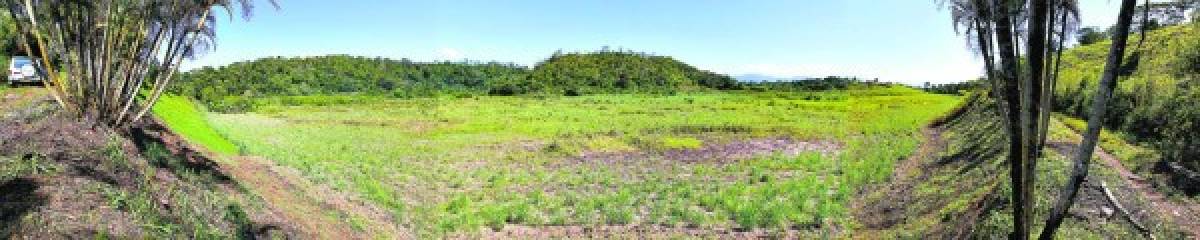 El Lago de Yojoa es cuna de la diversidad natural en Honduras