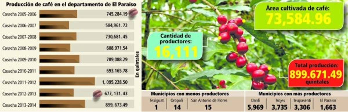 Honduras: Caficultores confían en alcanzar ventas récord del grano aromático