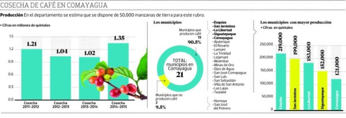 En Comayagua se produce el 20.7 por ciento del café del país